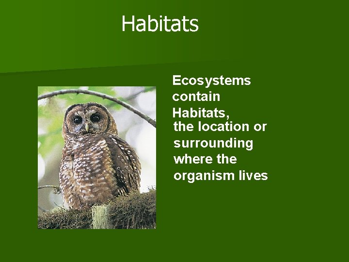 Habitats Ecosystems contain Habitats, the location or surrounding where the organism lives 