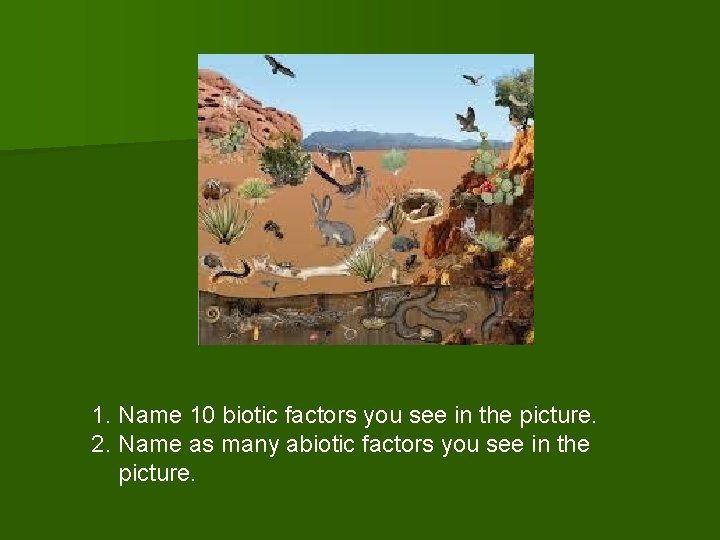 1. Name 10 biotic factors you see in the picture. 2. Name as many