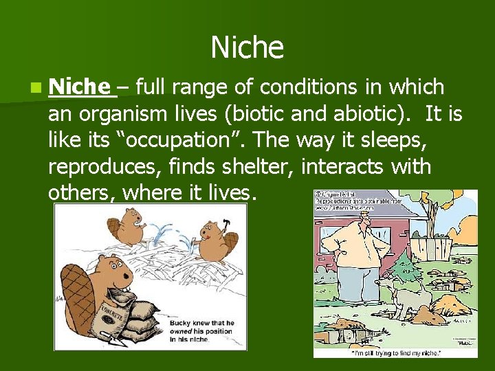 Niche n Niche – full range of conditions in which an organism lives (biotic