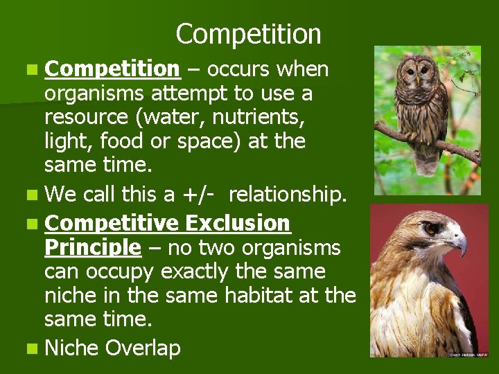 Competition n Competition – occurs when organisms attempt to use a resource (water, nutrients,