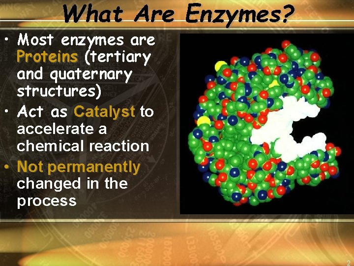 What Are Enzymes? • Most enzymes are Proteins (tertiary and quaternary structures) • Act