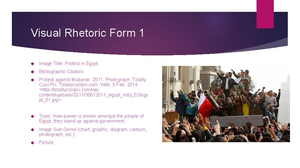 Visual Rhetoric Form 1 Image Title: Protest in Egypt Bibliographic Citation: Protest against Mubarak.