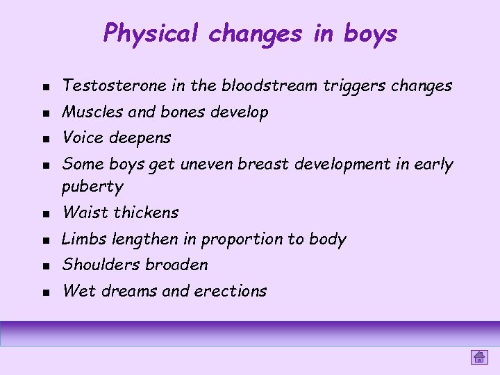 Physical changes in boys n Testosterone in the bloodstream triggers changes n Muscles and