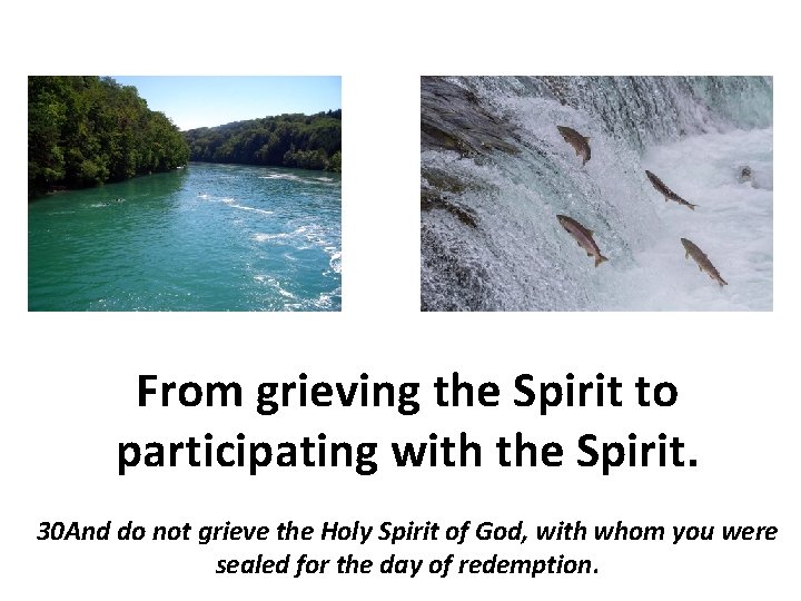 From grieving the Spirit to participating with the Spirit. 30 And do not grieve