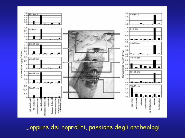 …oppure dei coproliti, passione degli archeologi 