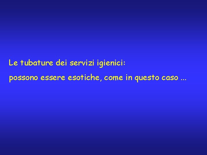 Le tubature dei servizi igienici: possono essere esotiche, come in questo caso. . .