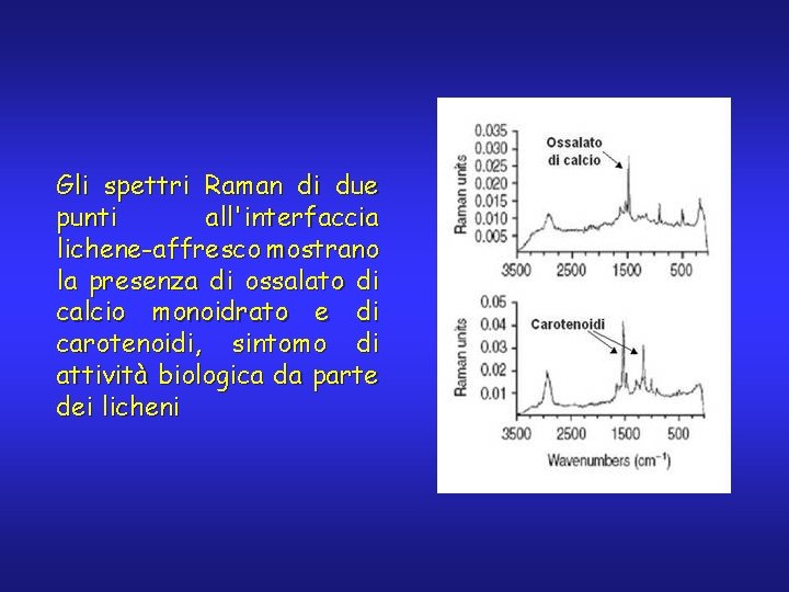 Gli spettri Raman di due punti all'interfaccia lichene-affresco mostrano la presenza di ossalato di