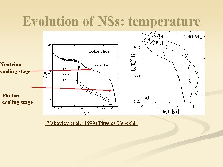 Evolution of NSs: temperature Neutrino cooling stage Photon cooling stage [Yakovlev et al. (1999)