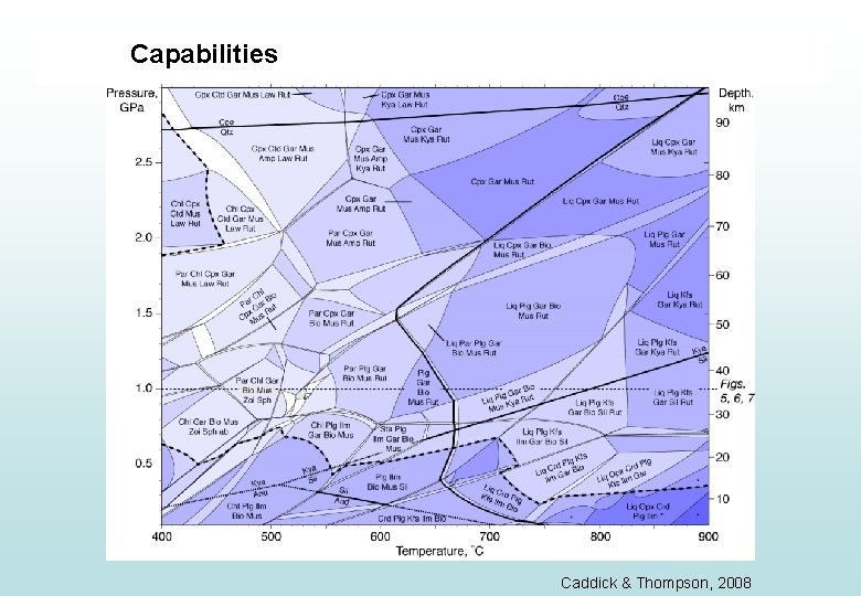 Capabilities Caddick & Thompson, 2008 