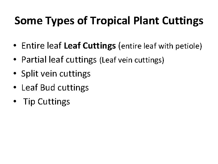 Some Types of Tropical Plant Cuttings • • • Entire leaf Leaf Cuttings (entire