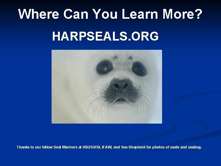 Where Can You Learn More? HARPSEALS. ORG Thanks to our fellow Seal Warriors at