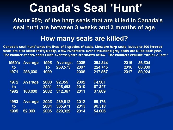 Canada's Seal 'Hunt' About 95% of the harp seals that are killed in Canada's