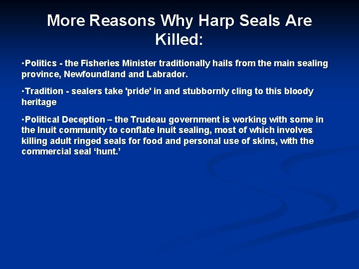 More Reasons Why Harp Seals Are Killed: • Politics - the Fisheries Minister traditionally