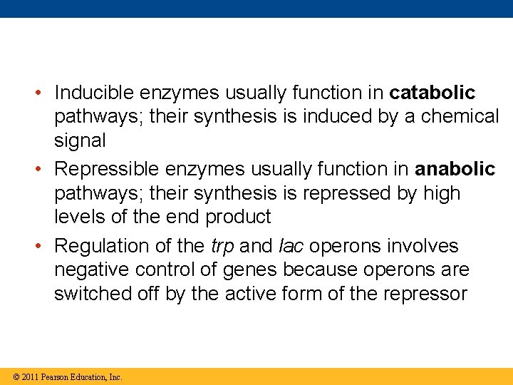  • Inducible enzymes usually function in catabolic pathways; their synthesis is induced by