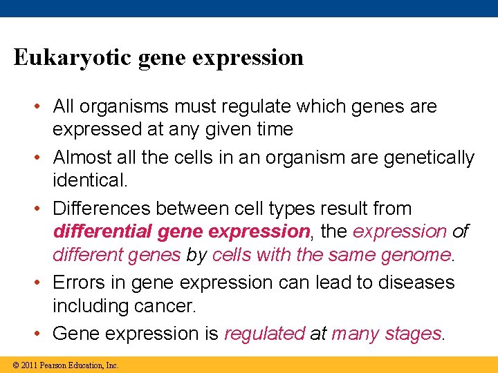 Eukaryotic gene expression • All organisms must regulate which genes are expressed at any