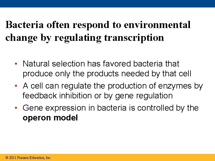 Bacteria often respond to environmental change by regulating transcription • Natural selection has favored
