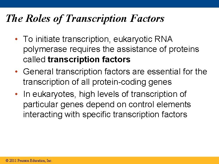 The Roles of Transcription Factors • To initiate transcription, eukaryotic RNA polymerase requires the