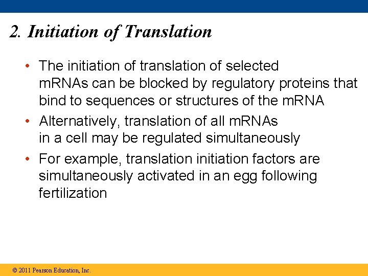 2. Initiation of Translation • The initiation of translation of selected m. RNAs can