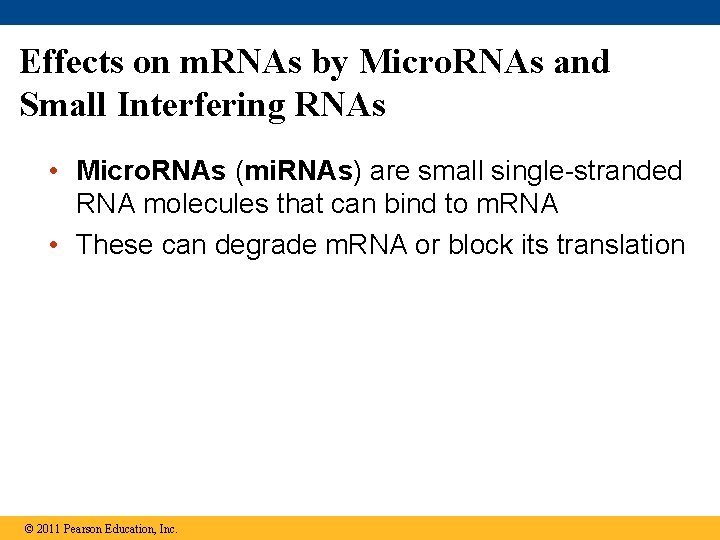 Effects on m. RNAs by Micro. RNAs and Small Interfering RNAs • Micro. RNAs