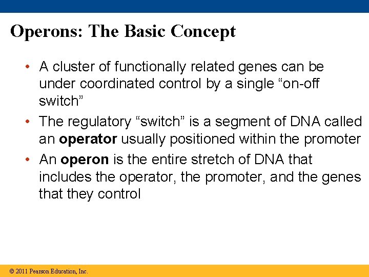 Operons: The Basic Concept • A cluster of functionally related genes can be under