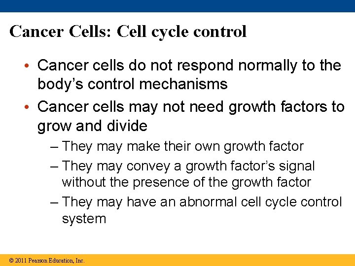 Cancer Cells: Cell cycle control • Cancer cells do not respond normally to the