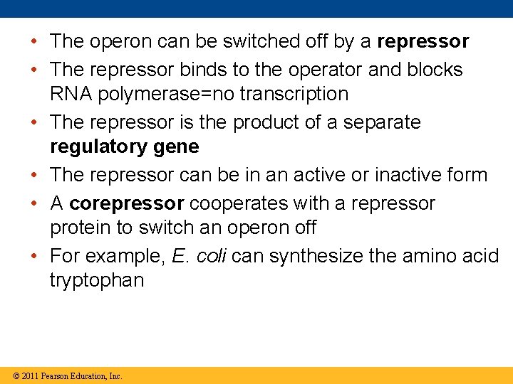  • The operon can be switched off by a repressor • The repressor