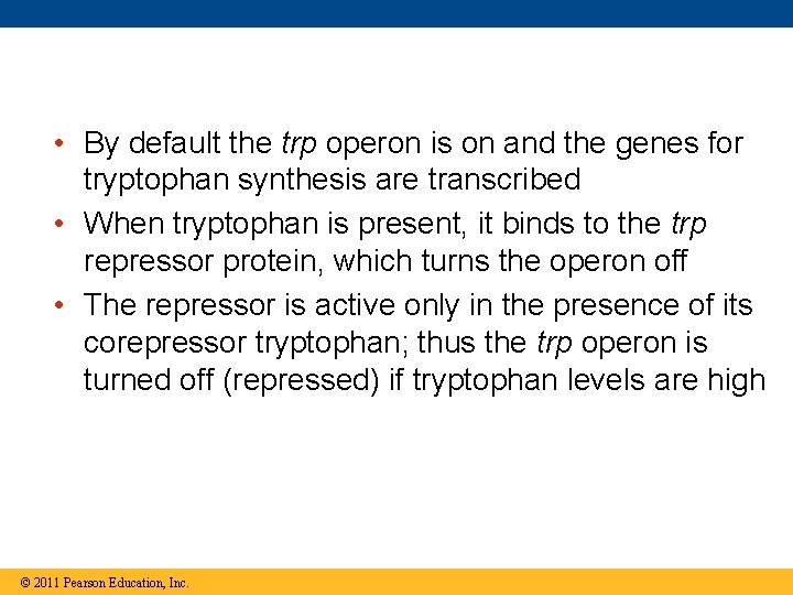  • By default the trp operon is on and the genes for tryptophan