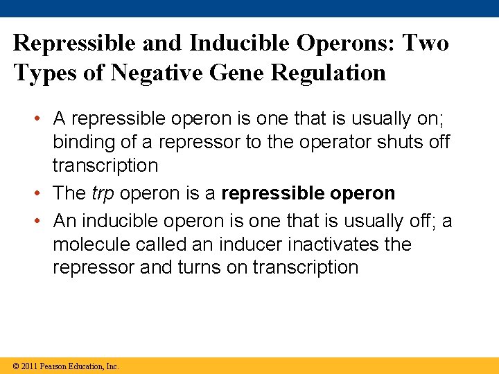 Repressible and Inducible Operons: Two Types of Negative Gene Regulation • A repressible operon