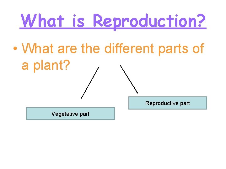Parts A Repro What is Reproduction What are the different parts