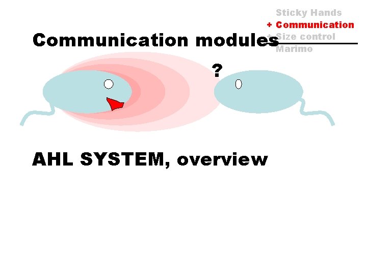 Sticky Hands + Communication + Size control Marimo Communication modules ? AHL SYSTEM, overview