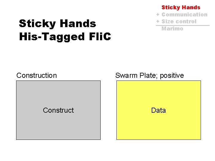 Sticky Hands His-Tagged Fli. C Construction Construct Sticky Hands + Communication + Size control