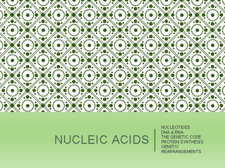 NUCLEIC ACIDS NUCLEOTIDES DNA & RNA THE GENETIC CODE PROTEIN SYNTHESIS GENETIC REARRANGEMENTS 