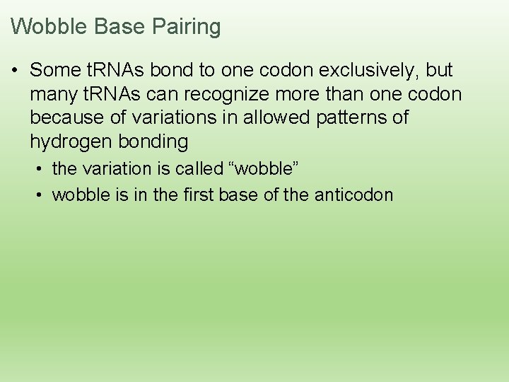 Wobble Base Pairing • Some t. RNAs bond to one codon exclusively, but many