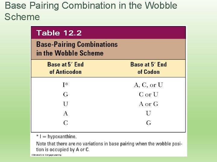 Base Pairing Combination in the Wobble Scheme 