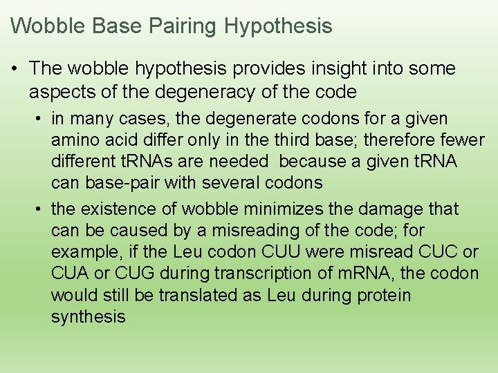 Wobble Base Pairing Hypothesis • The wobble hypothesis provides insight into some aspects of