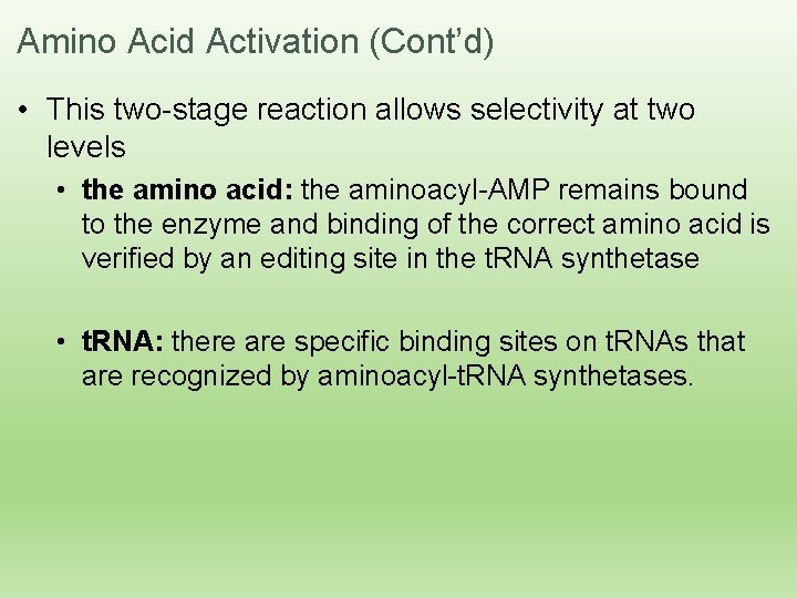 Amino Acid Activation (Cont’d) • This two-stage reaction allows selectivity at two levels •