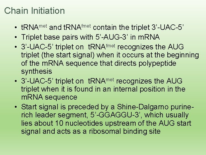 Chain Initiation • t. RNAmet and t. RNAfmet contain the triplet 3’-UAC-5’ • Triplet