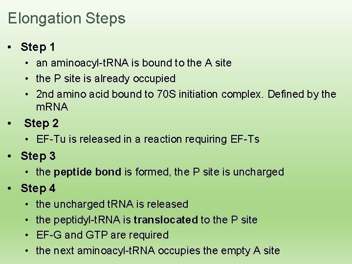 Elongation Steps • Step 1 • an aminoacyl-t. RNA is bound to the A