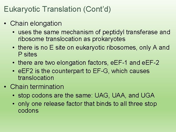 Eukaryotic Translation (Cont’d) • Chain elongation • uses the same mechanism of peptidyl transferase