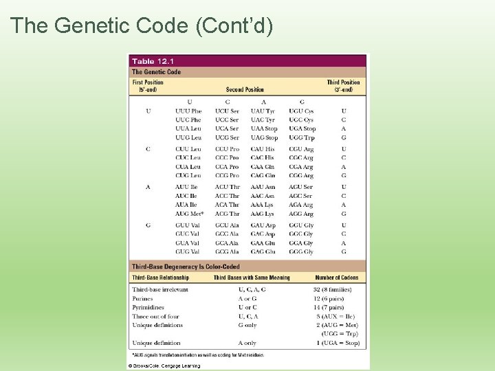 The Genetic Code (Cont’d) 