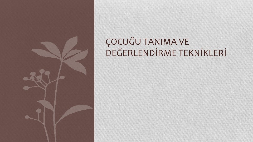 ÇOCUĞU TANIMA VE DEĞERLENDİRME TEKNİKLERİ 