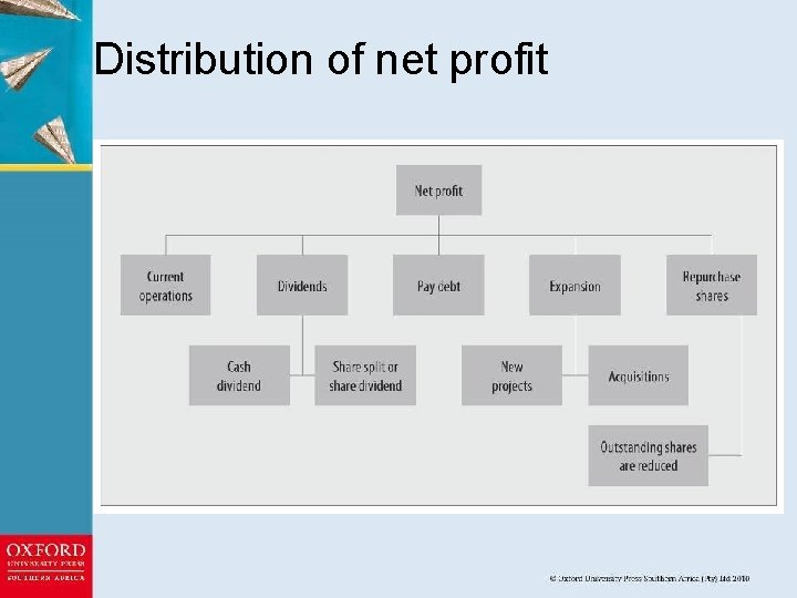 Distribution of net profit 