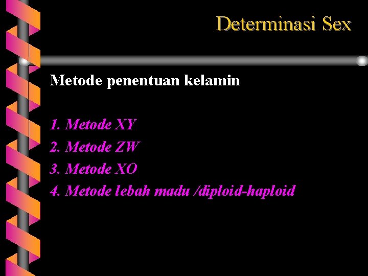 Determinasi Sex Metode penentuan kelamin 1. Metode XY 2. Metode ZW 3. Metode XO