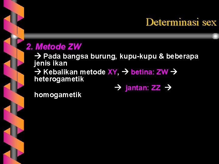 Determinasi sex 2. Metode ZW Pada bangsa burung, kupu-kupu & beberapa jenis ikan Kebalikan