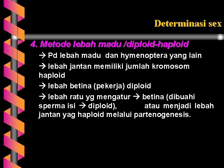 Determinasi sex 4. Metode lebah madu /diploid-haploid Pd lebah madu dan hymenoptera yang lain