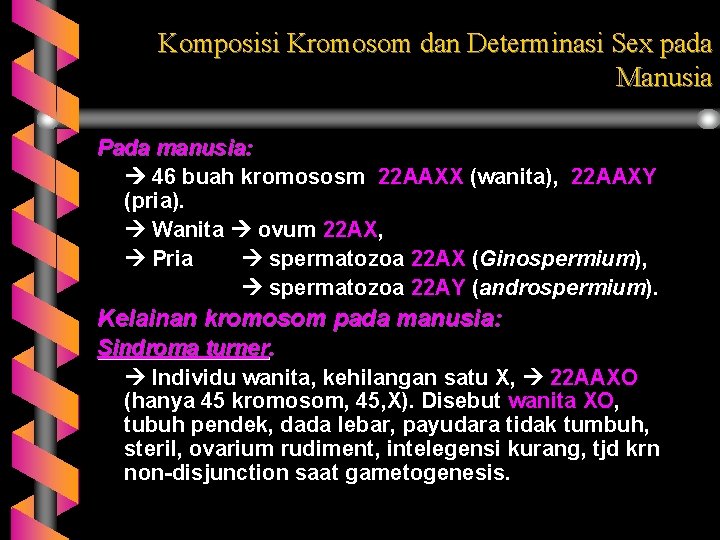 Komposisi Kromosom dan Determinasi Sex pada Manusia Pada manusia: 46 buah kromososm 22 AAXX