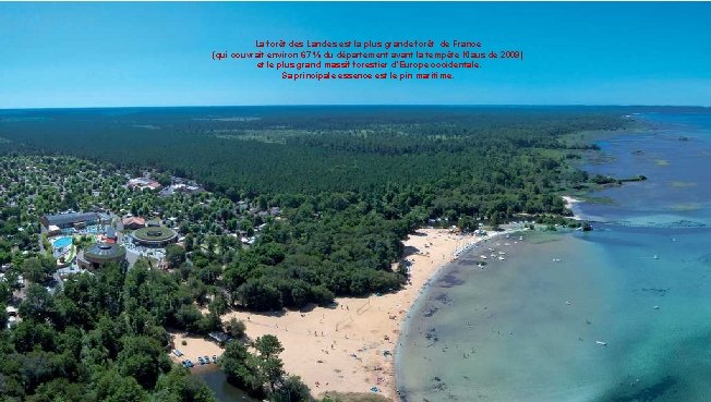 La forêt des Landes est la plus grande forêt de France (qui couvrait environ