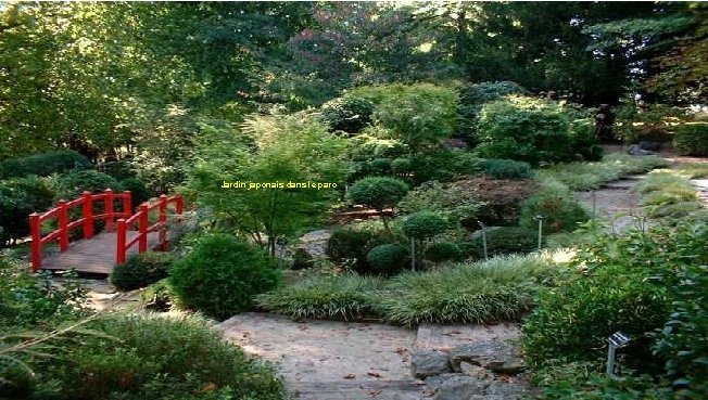 Jardin japonais dans le parc 