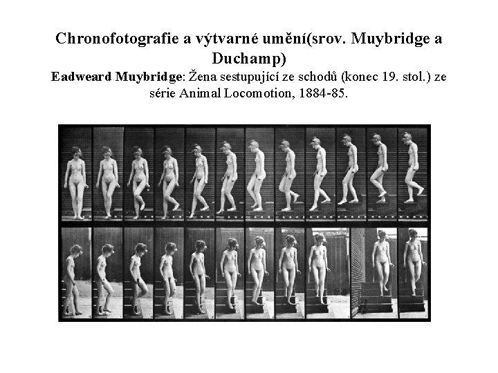 Chronofotografie a výtvarné umění(srov. Muybridge a Duchamp) Eadweard Muybridge: Žena sestupující ze schodů (konec