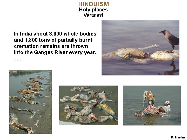 HINDUISM Holy places Varanasi In India about 3, 000 whole bodies and 1, 800 HINDUISM Holy places Varanasi In India about 3, 000 whole bodies and 1, 800